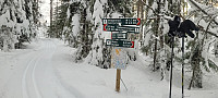 Storen_20240111_65a00132e7f5b.jpg