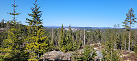 Storen_20250404_67efdf18b3249.jpg