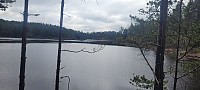 Storen_20250418_68023f8fe7a30.jpg