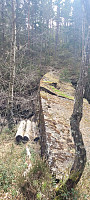 Storen_20250418_68023f90ca9af.jpg