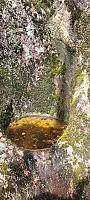 Storen_20250418_68023f91506db.jpg