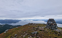 Affen_20240825_66ca59384e593.jpg