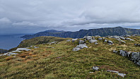 Affen_20240909_66de986c49ee0.jpg