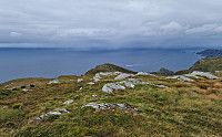 Affen_20240909_66de986d9b04e.jpg