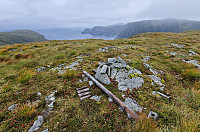 Affen_20240909_66de9870d1dd9.jpg