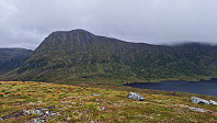 Affen_20240909_66de98d39a6f7.jpg