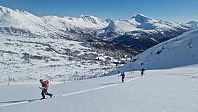 Affen_20250324_67e108c5f256b.jpg