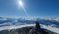 Affen_20250324_67e108c75e7c9.jpg