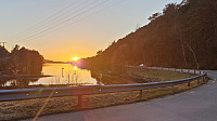 Affen_20250406_67f212ea16c69.jpg