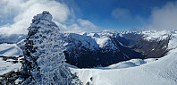 Affen_20250406_67f212ee859fa.jpg