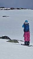 Affen_20250406_67f212f158d84.jpg