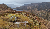 Affen_20250418_680251b695df4.jpg