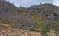 Affen_20250418_680251b9eaa51.jpg