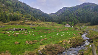 Ingebjørgpåtur_20250529_6838bfdfb72cb.jpg