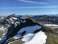 towa_20220715_62d116fd52af4.jpg