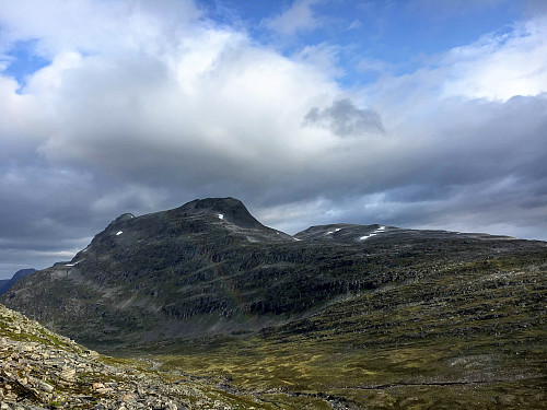 Dagens første mål; Kringlehøa