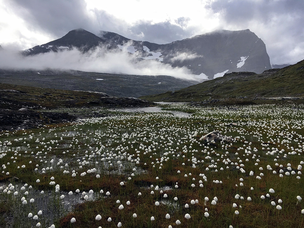 Magisk kveldsstemning på veg tilbake til camp under Storsomrungnebba og Storsalen.