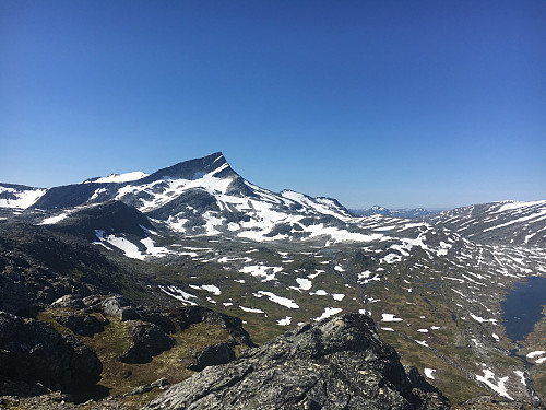 Neådalssnota fra Bollen.
