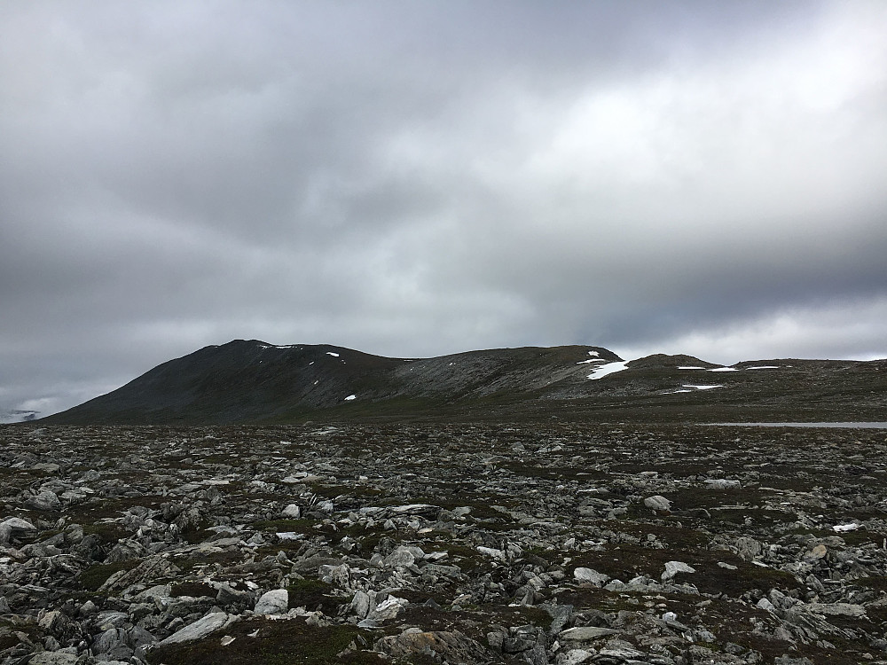 Fremre Grynningshøa i sikte.