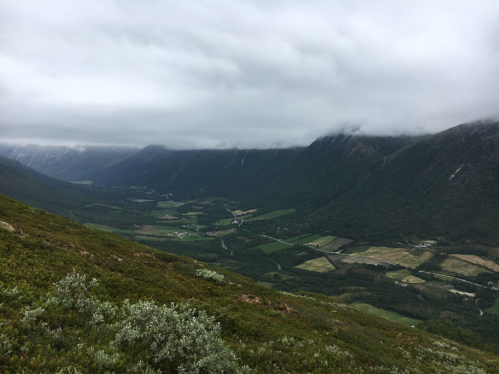 Utsikt ned til Storlidalen.
