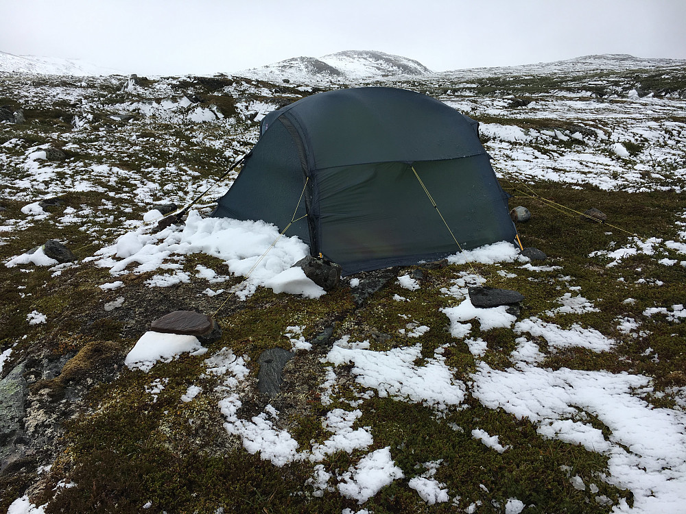 Midtsommer i Trollheimen.