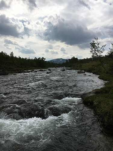 Minnilla passeres med stolheis på wire.