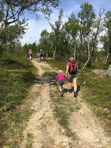 På merkaløypa mellom Nerskogen og Gjøldalshytta.
