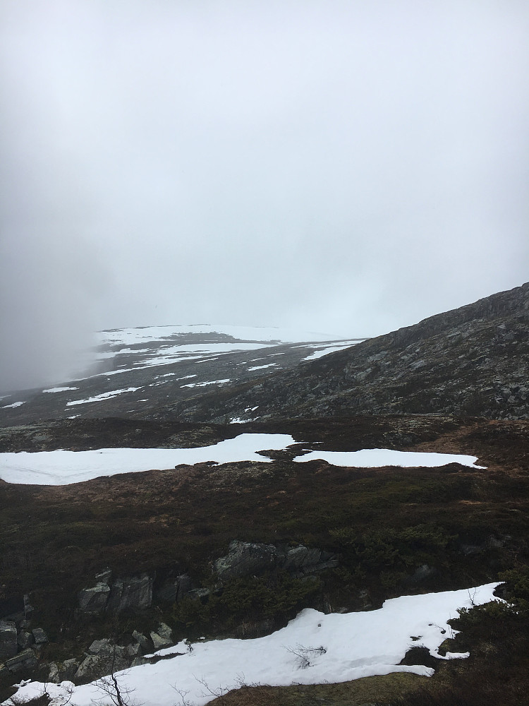 Jeg gikk et stykke opp mot Elghøa, men snudde på grunn av snøforhold og tåke.