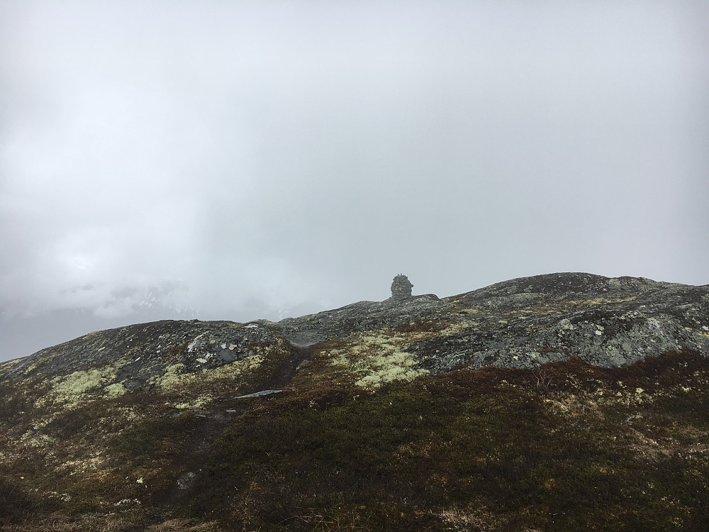 Toppvarden på Håggåberget i sikte.