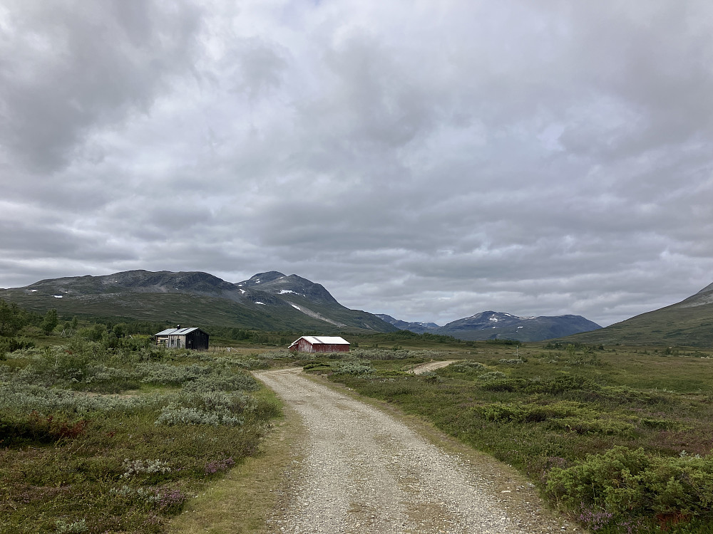 Jøldalen er en fin og idyllisk seterdal. Godt løpbart slakt nedover mot foten av Geithetta.