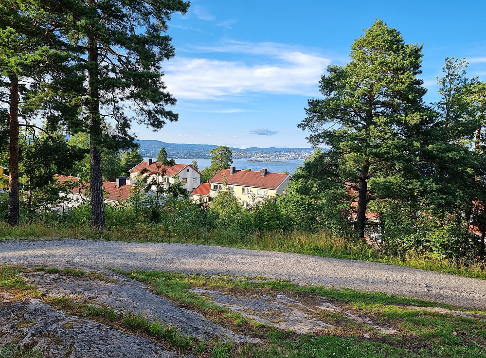 Fra Tangenåsen. Oslo i bakgrunnen.