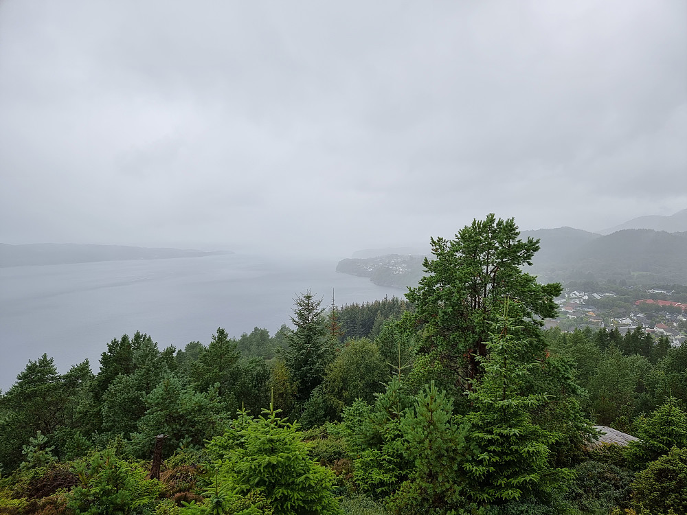 Fra Holsberget. Herdlefjorden i bakgrunnen.