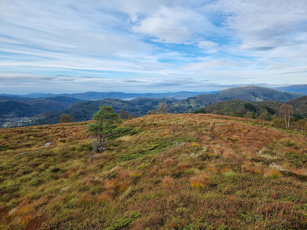 Fra Bjørnsjellet mot nordvest. Lonevåg helt til venstre. Tveitafjellet bak til høyre.