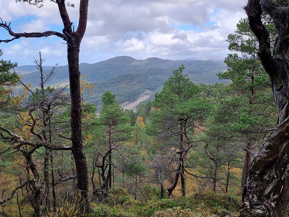 Fra Skogafjellet mot nord-nordvest, med den nye veien mellom Os og Rådal. Lyshornet til venstre. Masten på Ulriken kan skimtes i det fjerne.