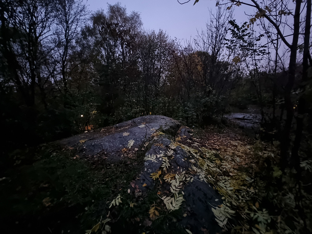 Tørtberg i Frognerparken.