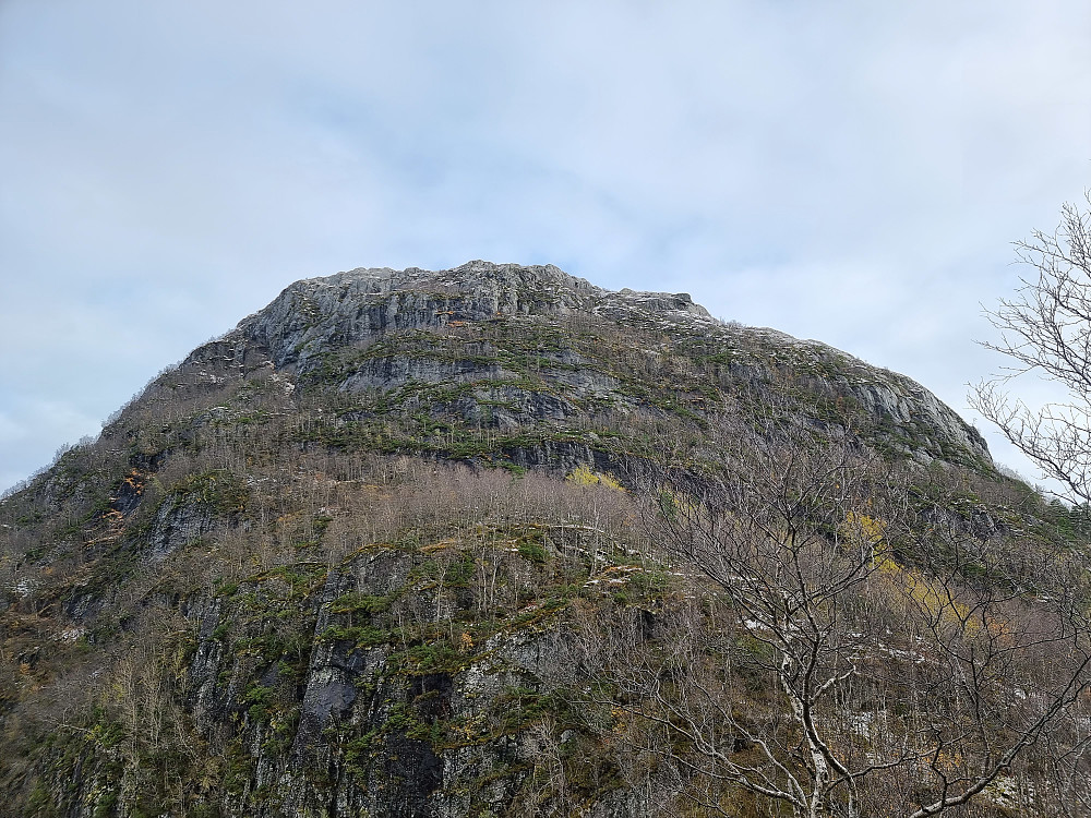 Fra Smørstakken mot Storafjellet, som ligger ca. 250 meter høyere.