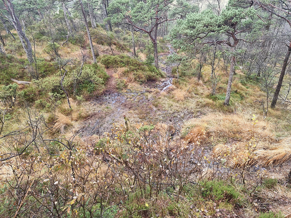 Fra Mikkelsvatnet til Ulvenfjellet var stien veldig bløt.