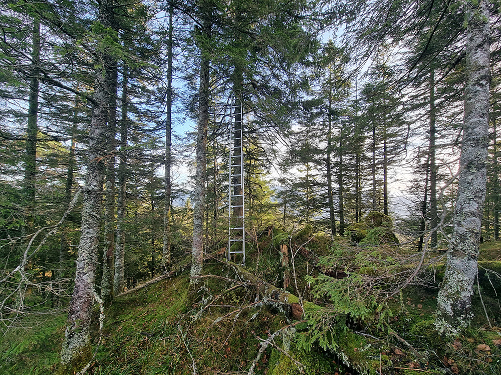 Litt norøst for Vetla Lyshornet sto denne stigen, ukjent av hvilken grunn.