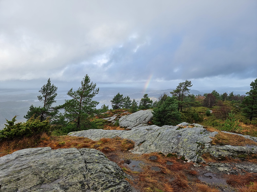 Fra Skausnøya mot nordvest.