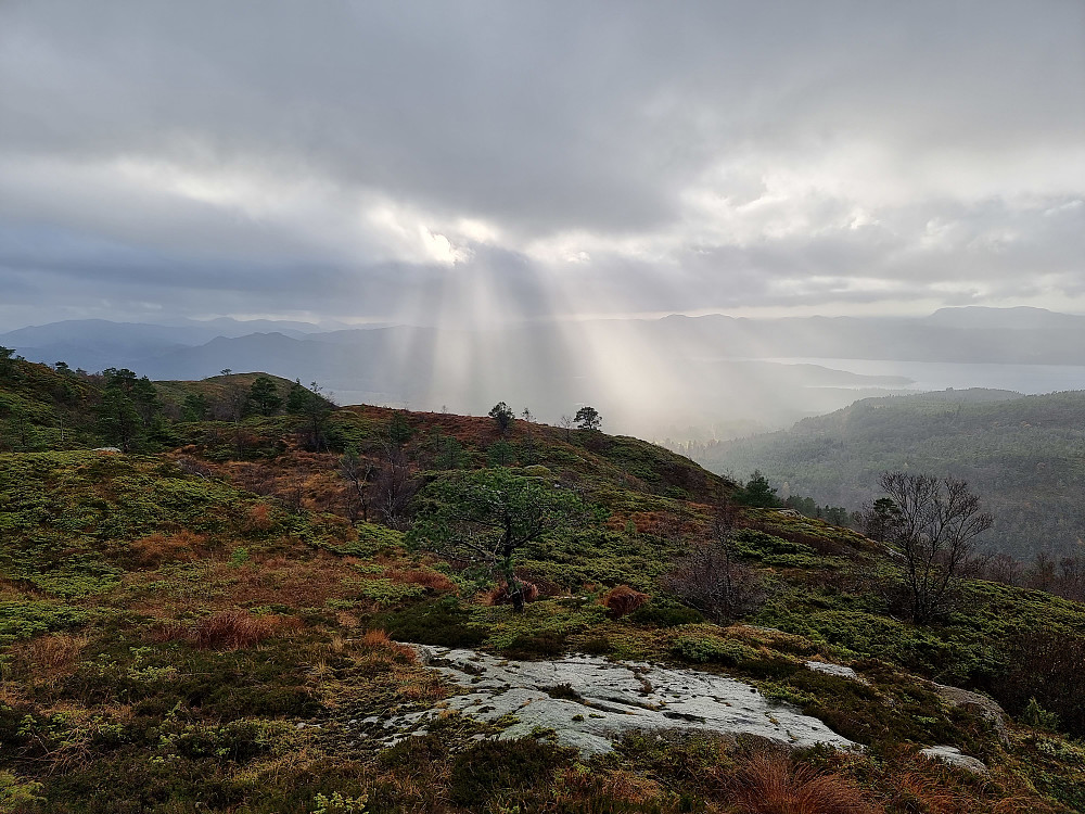 Artig lys på vei tilbake fra Selifjellet.