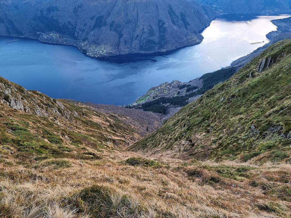 Bratt ned til Furneset. Staveneset over fjorden til venstre. Bildet er tatt mellom Bruviknipa og Utegardsnipa.