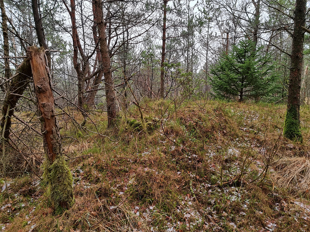 Birkelandsfjellet.