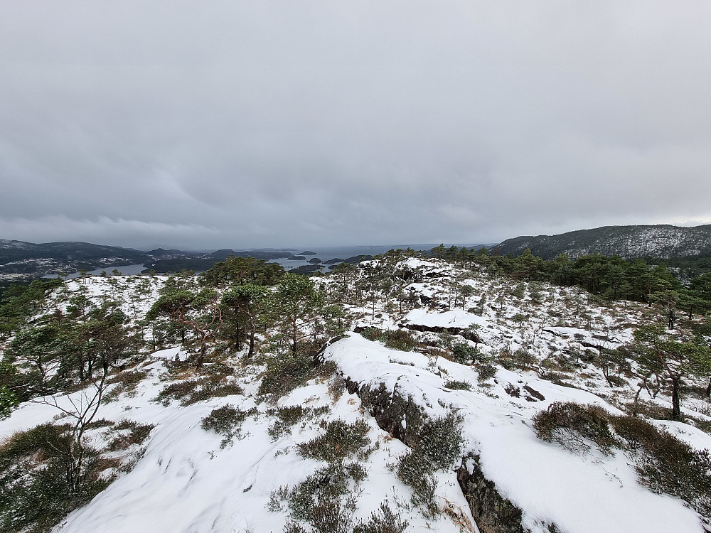 Fra Storakvitefjellet. Lysefjorden i bakgrunnen.