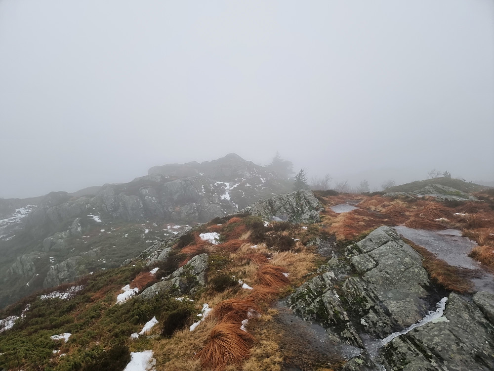 Fra Brakstadfjellet.