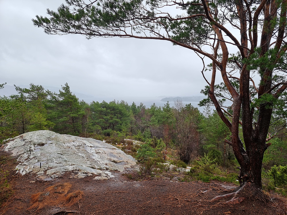Fra Furefjellet mot sørøst.
