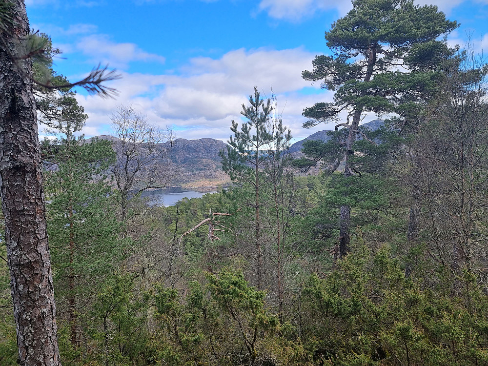 Fra Gripakletten mot nordøst. Gaustadfjellet helt til høyre. Øyjordsfjellet helt til venstre.