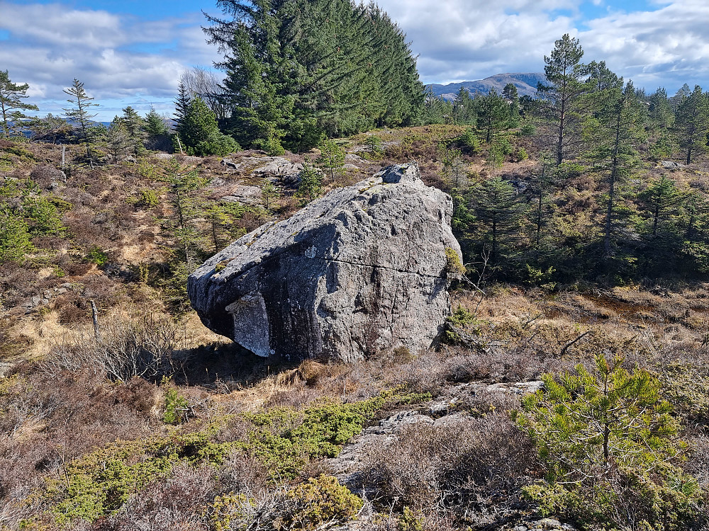 Buldrestein? Den ligger ved stien på vei til Storafjellet.