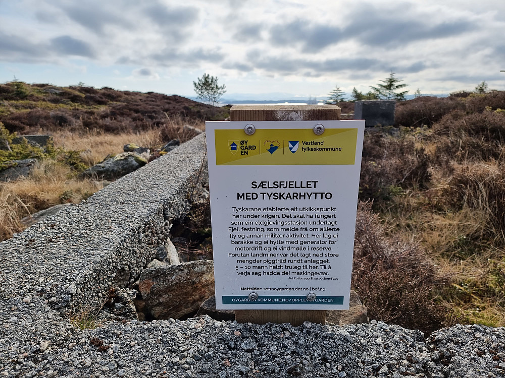 Ruin ved toppen av Sælsfjellet.