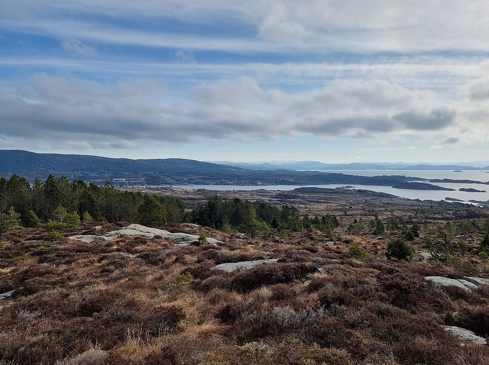 Fra Sælsfjellet mot nordøst.