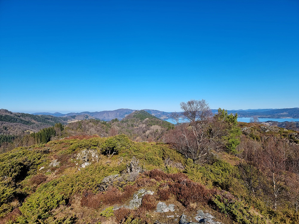 Fra Geitaryggen mot nordvest. Tirevollsfjellet (Orratuva) i midten, med Gladihaug til venstre bakenfor.